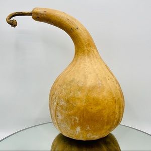 Clean Dried Natural Gourd 
ARTS & CRAFTS Project Ready Bowl Vase Style Birdhouse